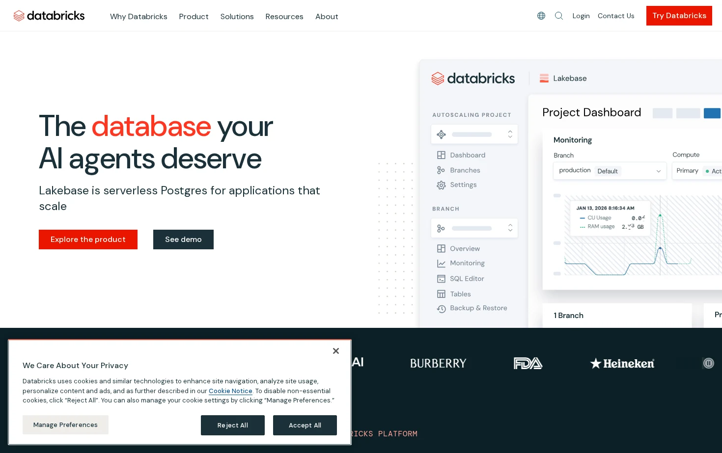 Databricks 页面快照